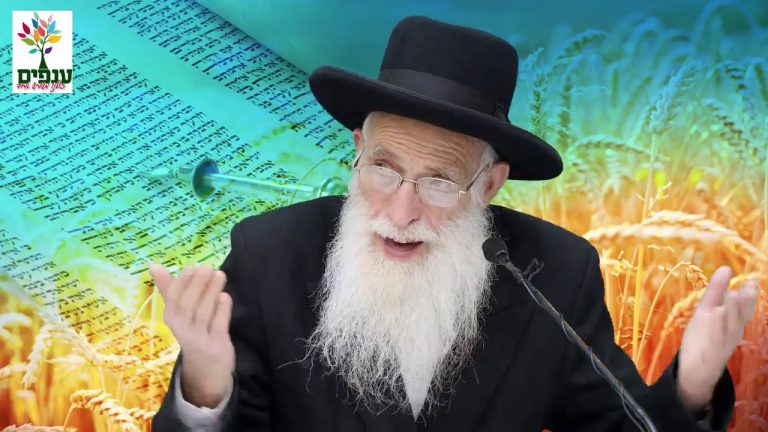 מדרשת פסגות שיעורי תורה בפ"ת